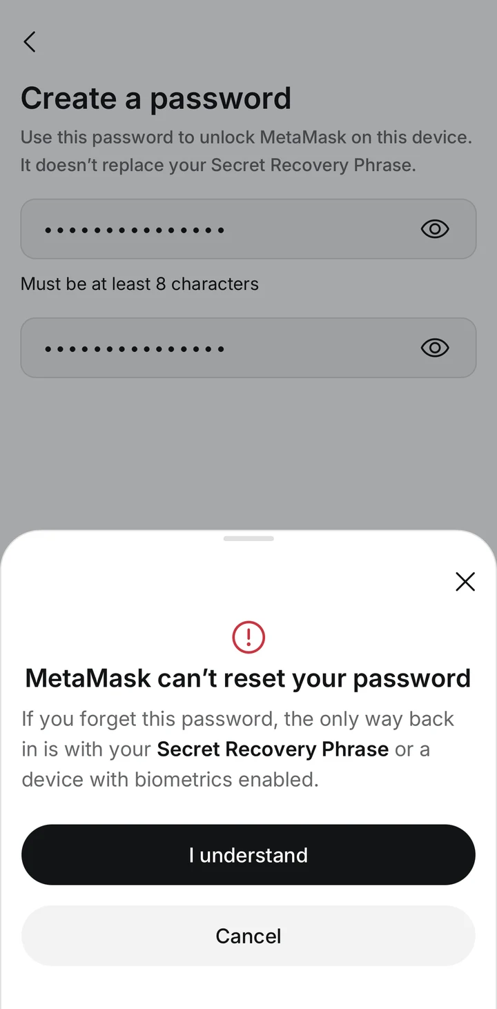 MetaMask Password warning on iOS