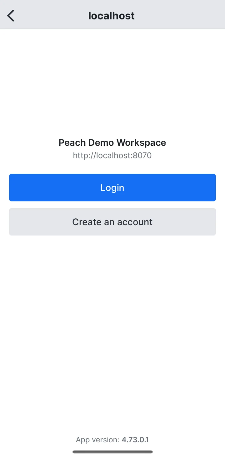 Rocket.Chat Workspace on iOS