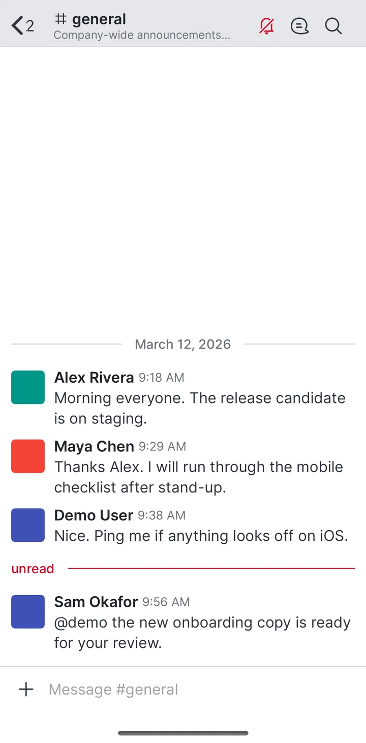 Rocket.Chat Room on iOS
